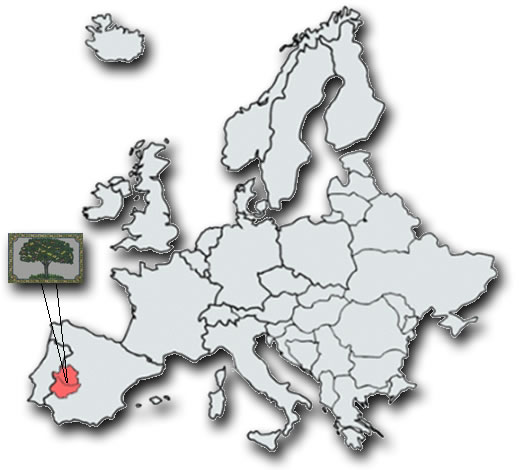 mapa-extremadura-europa